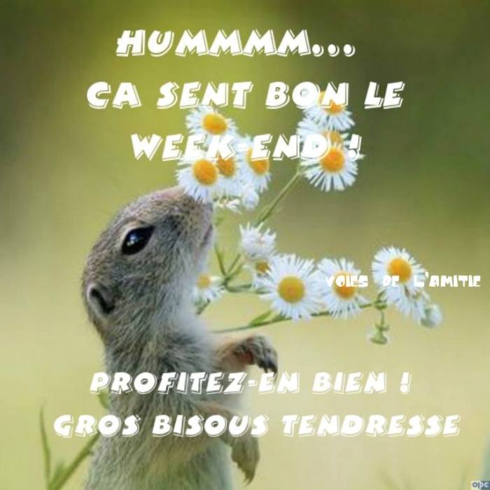 Jack Sparrow - Wikipedia Jack Sparrow - Wikipedia